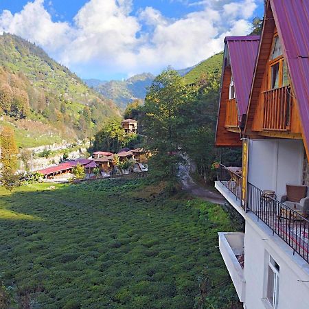 Naturel Apart Bungalow Villa Çamlıhemşin Exterior foto